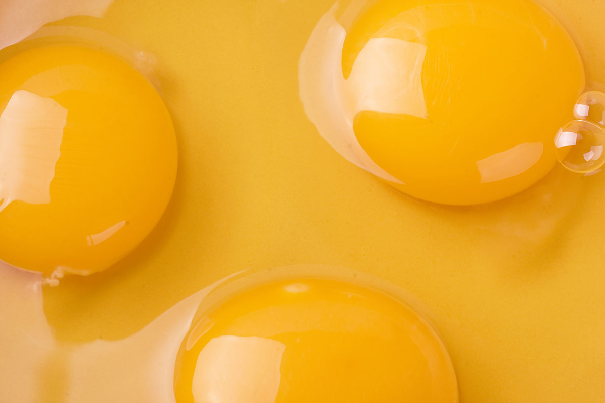 Liquid Eggs Archivi Goglio Packaging System